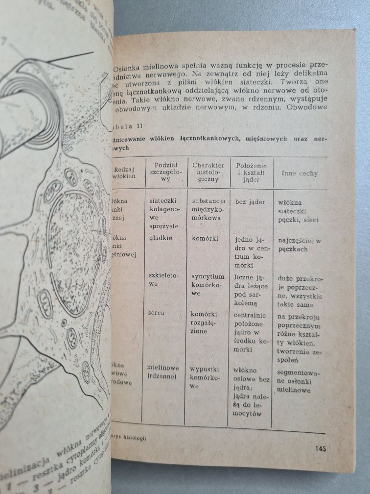 Zarys histologii. Podręcznik dla studentów - Stanisław Zawistowski