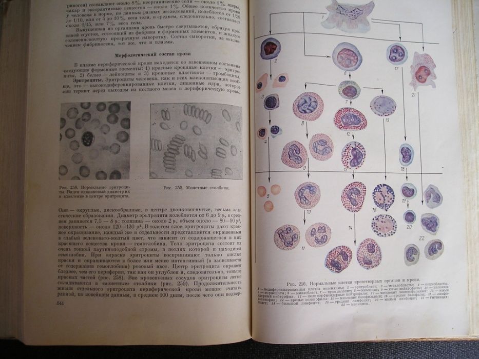 Черноруцкий М.В. Диагностика внутренних болезней 1953 г. (медицина)
