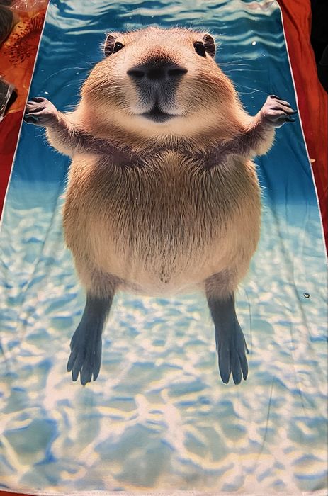 Пляжний рушник ( пляжное полотенце) подстилка