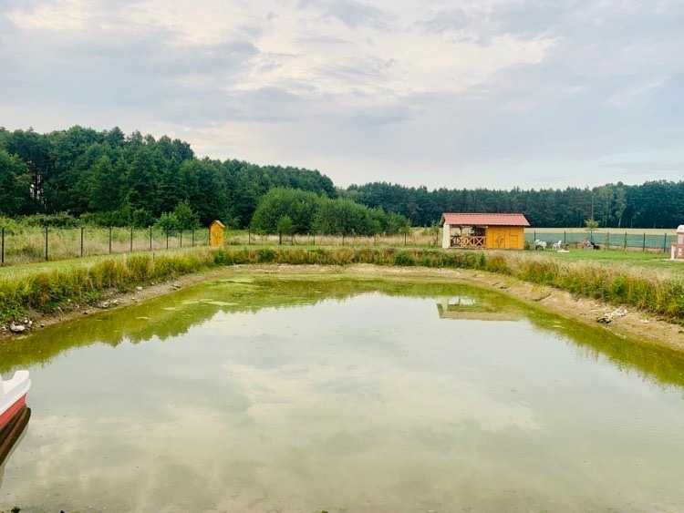 Działka rekreacyjna wraz z małym  domkiem letniskowym