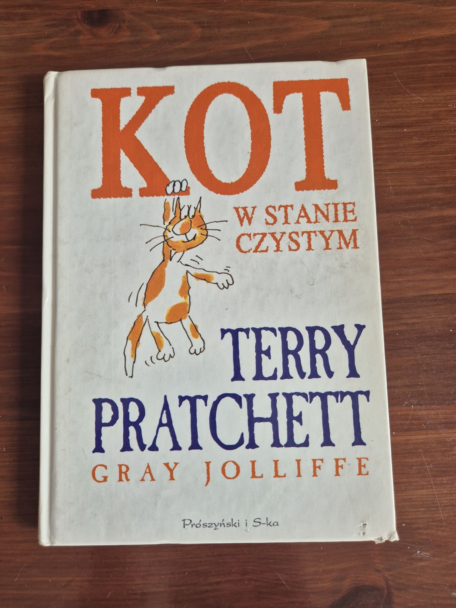 Terry Pratchett - Kot w stanie czystym