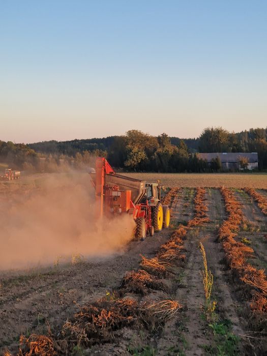 Double Master 2 kombajn do fasoli