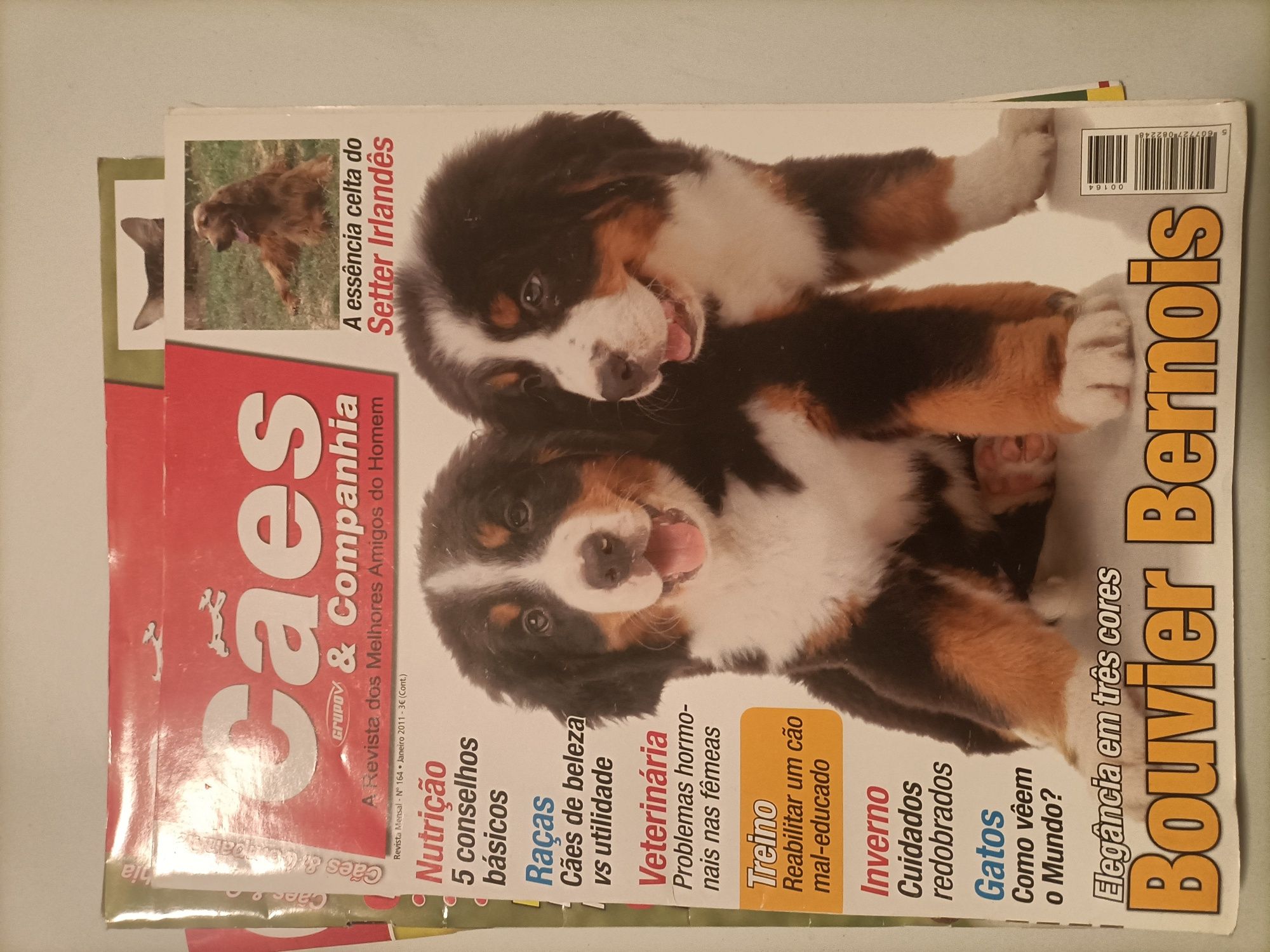 Revistas Cães e companhia