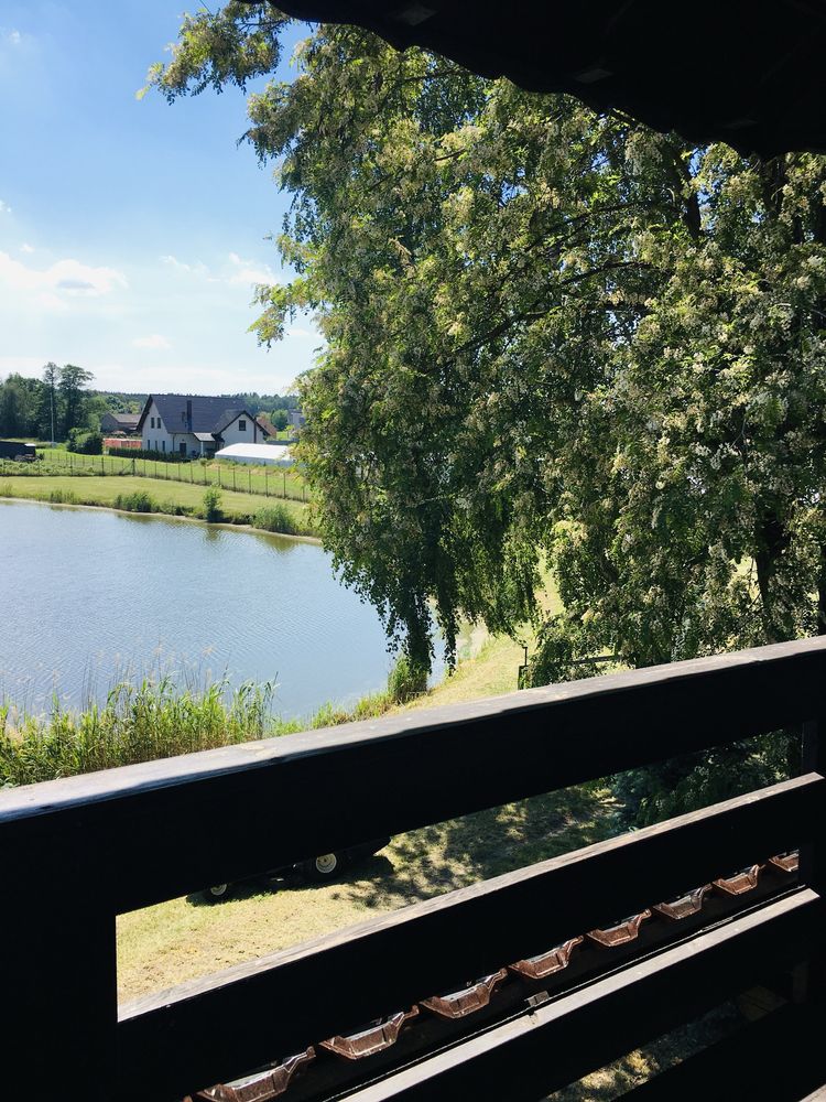 Domek nad stawem w okolicy Boszkowa