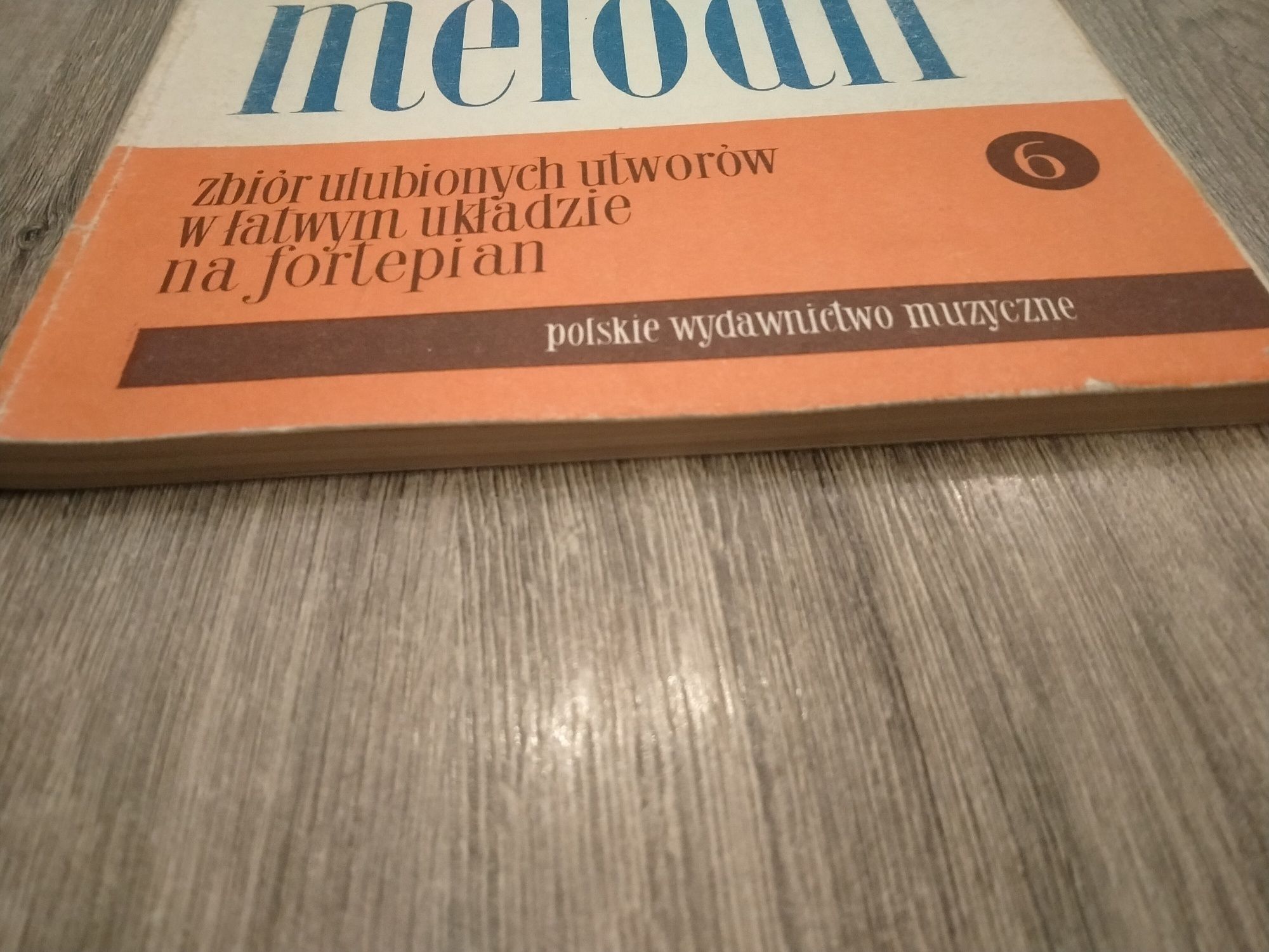 W krainie melodii Michał Woźny