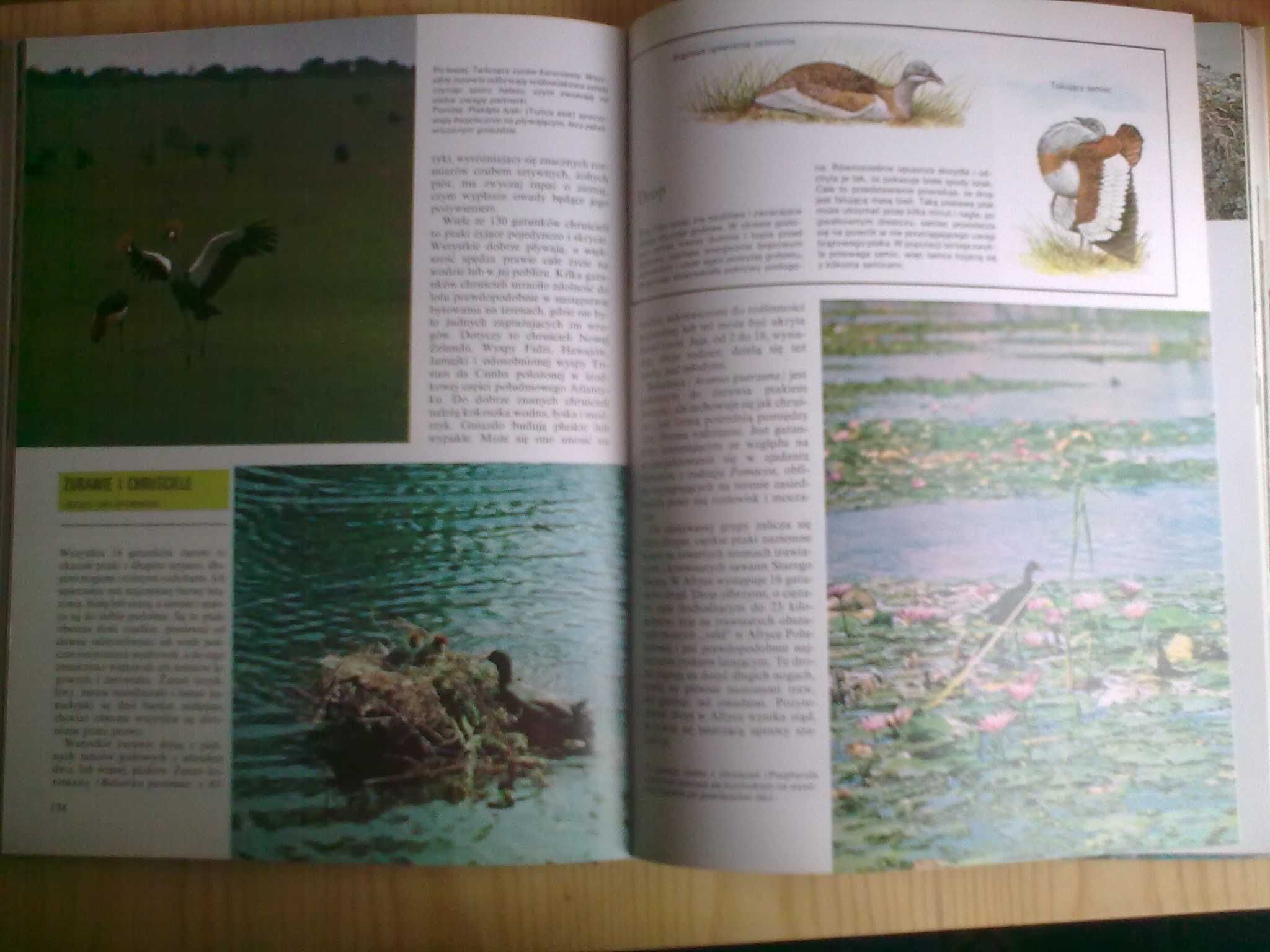 Ilustrowana encyklopedia zwierząt - C. Kilpatrick i J. Hard