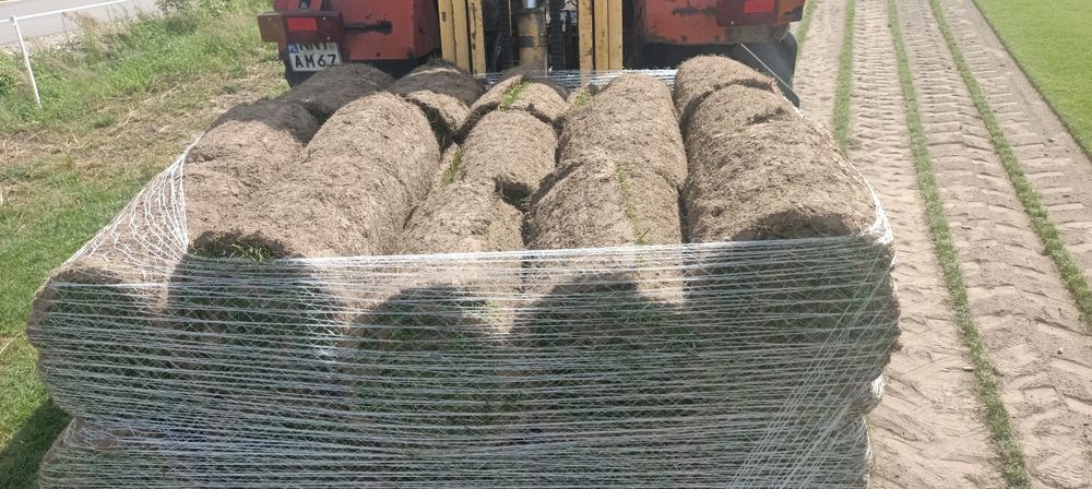 Trawa z rolki,trawnik z rolki