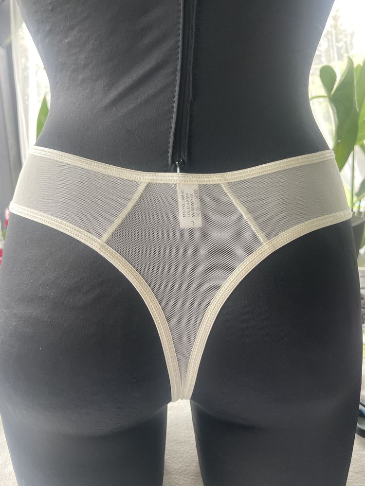 Stringi 248 r. L (41)