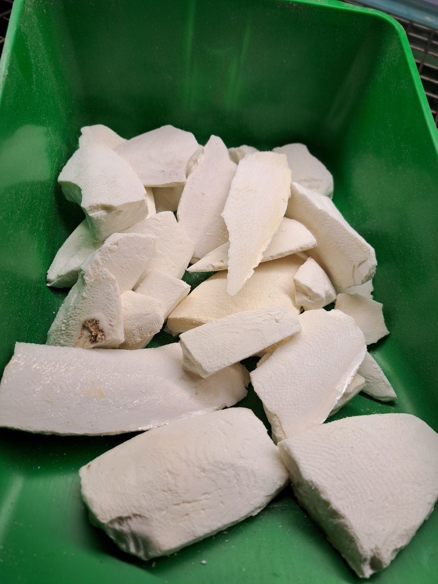 SEPIA NATURALNA 100 zł za 1kg papuga, ślimak,żółw