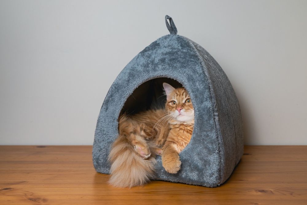 Miękki domek dla Twojego pupila (kota albo małego pieska)