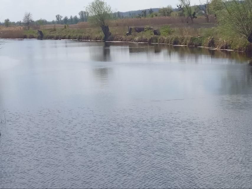 Продається газифікований будинок, Черкаська область, с Мліїв
