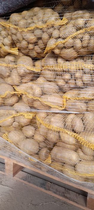 Ziemniaki paszeniaki/odpadowe drobne i grube