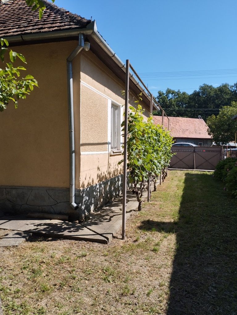 Продам дом Закарпатье Яноши