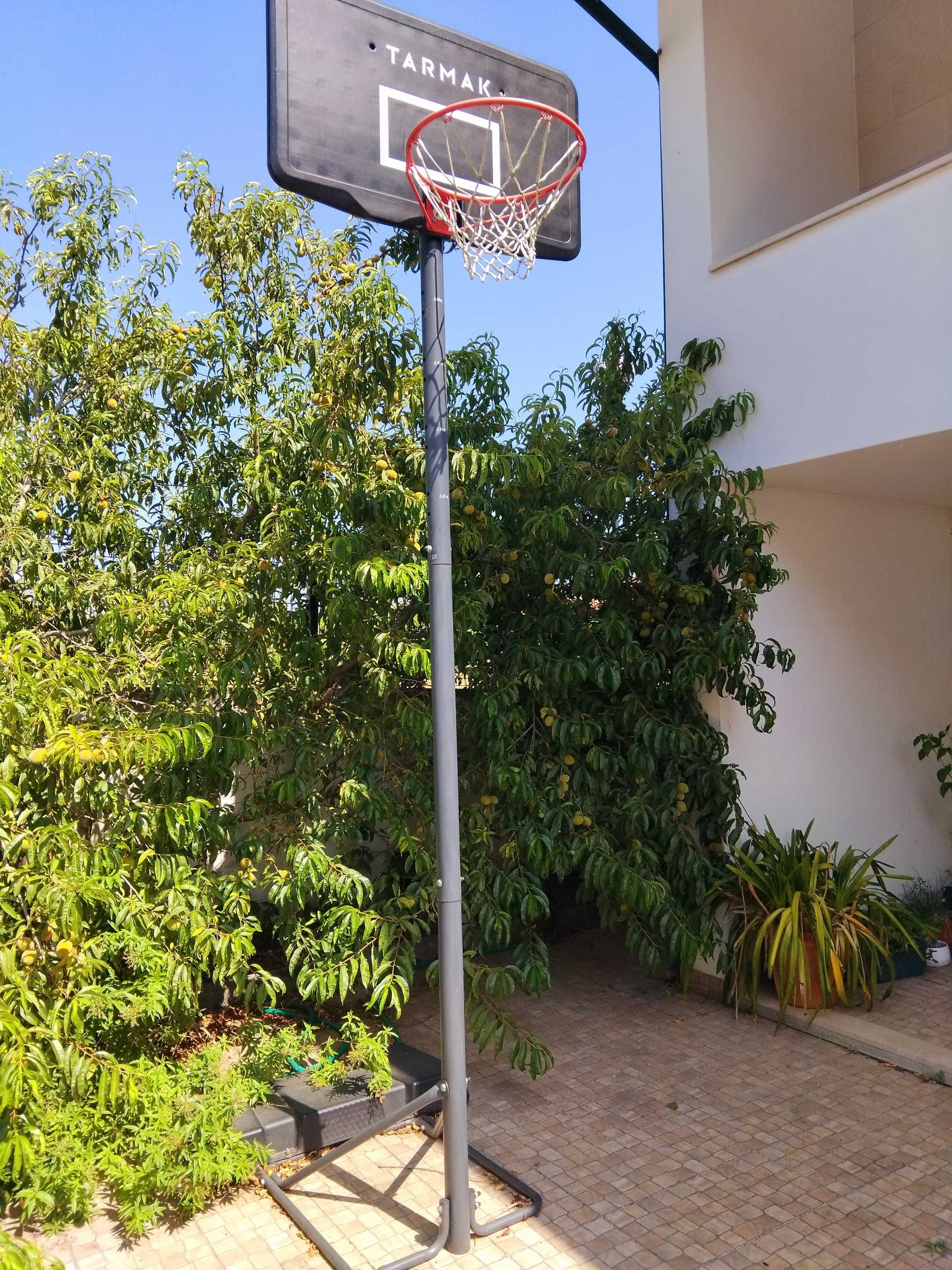 Tabela de basquetebol TARMAK