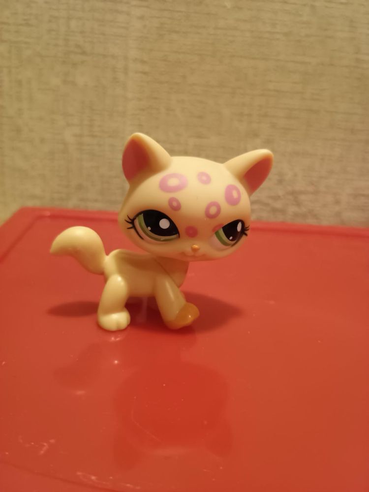 Littlest pet shop kot shorthair kociak kitten cat LPS kolekcjonerska