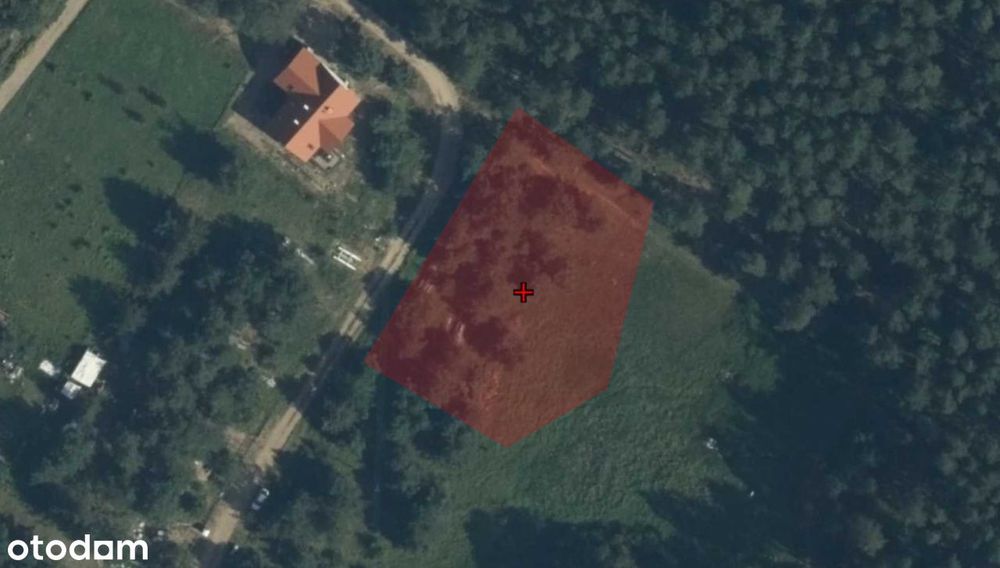 Uzbrojona działka Swaderki - 4 jeziora, 2 rzeki, lasy, lasy lasy
