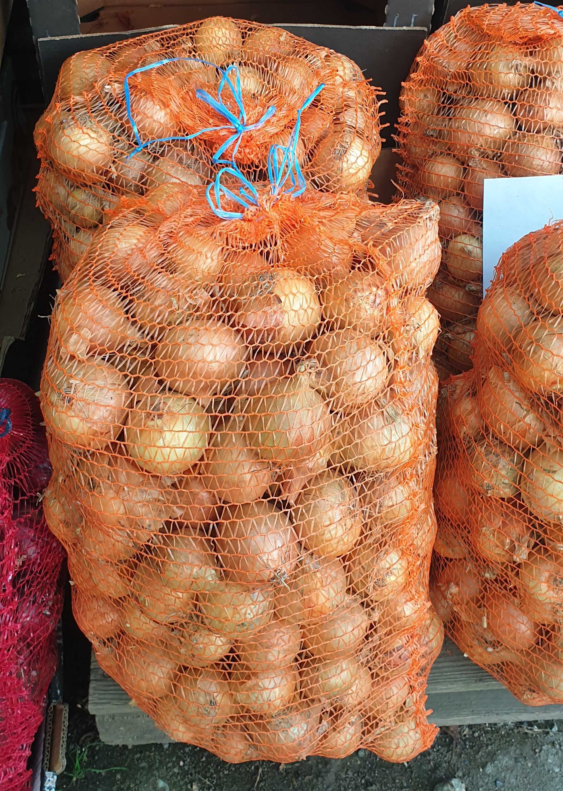 Cebula żółta świeża 15kg worek