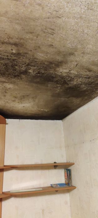 Помощь по ремонту хозяйства