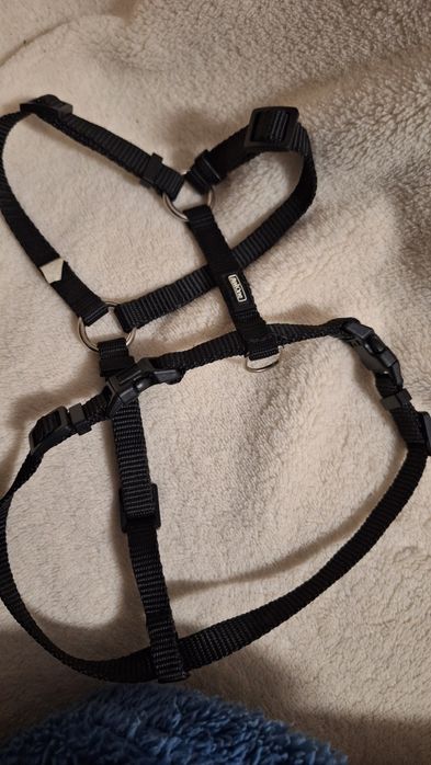 Szelki dla małego pieska