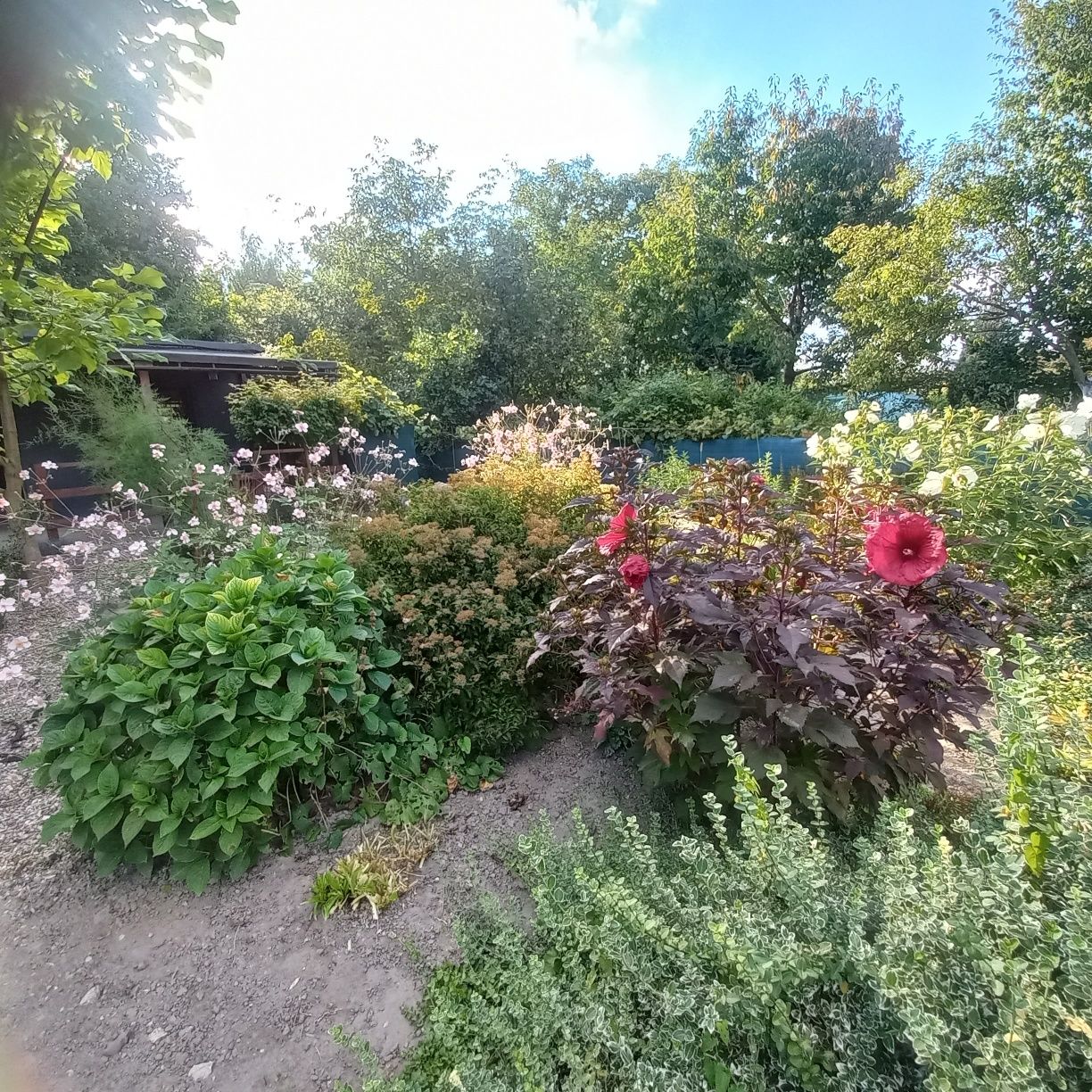 Ogródek działkowy