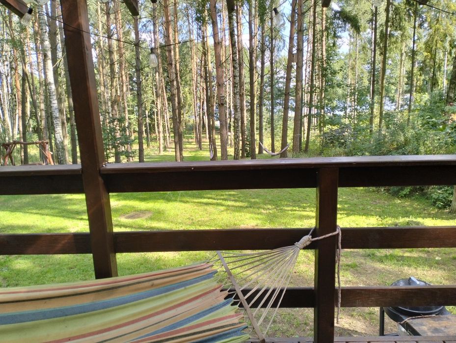 Noclegi domki nad jeziorem Hartowieckim Leśne Zacisze