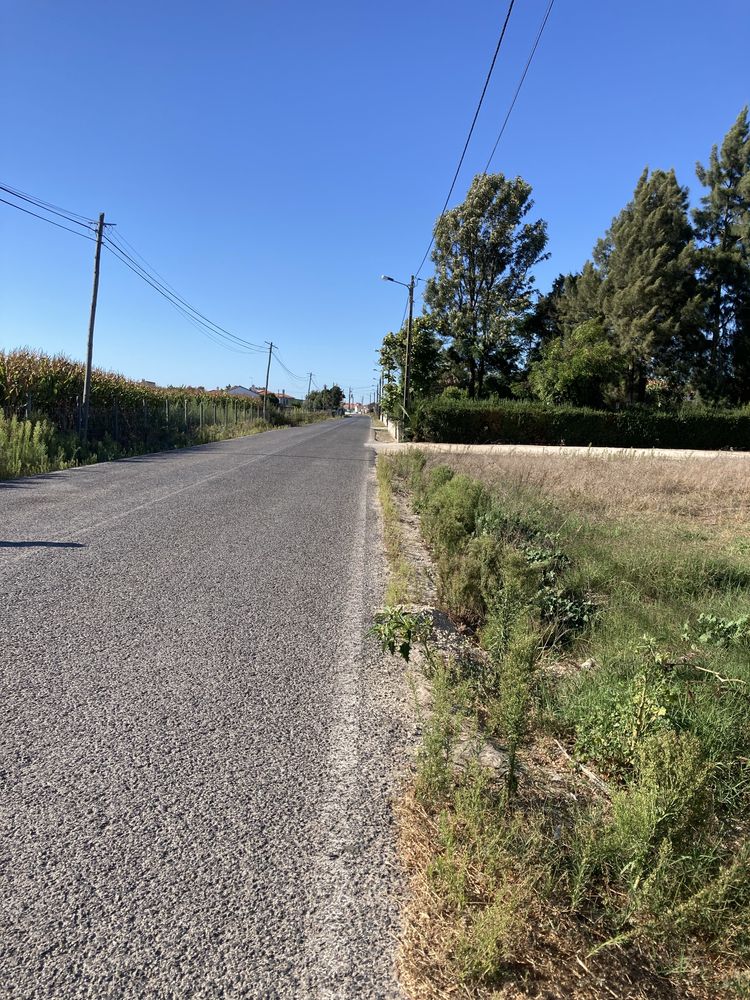 Terreno perfeito para mudar a sua vida para o campo!