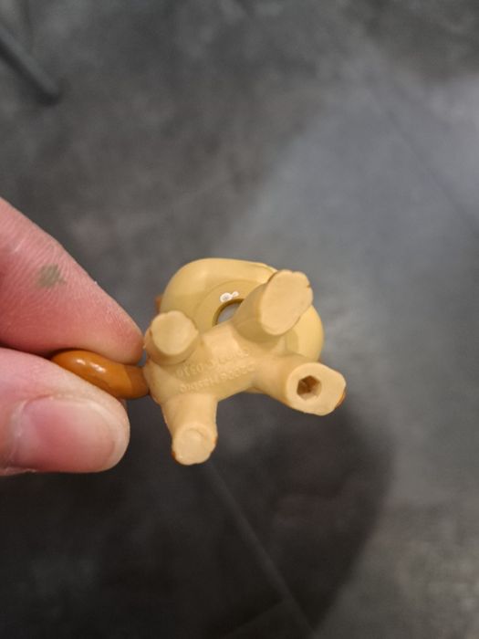 Kotek pet shop uzywany