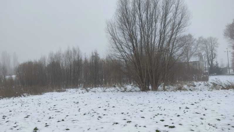 Oddam biomasę Lubanice