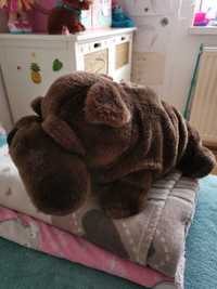 Pies buldog mops płuszkowy duży 37 cm jak nowy