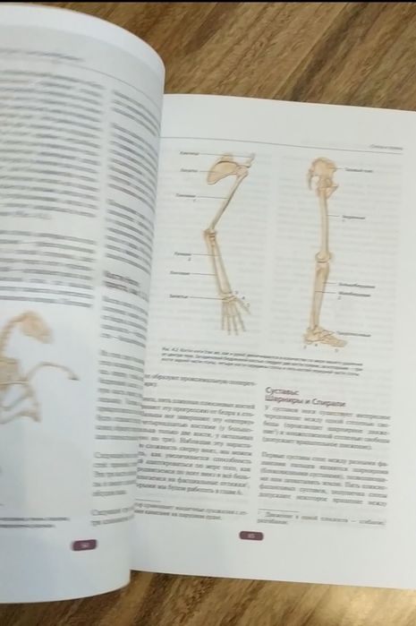 Фасциальный релиз