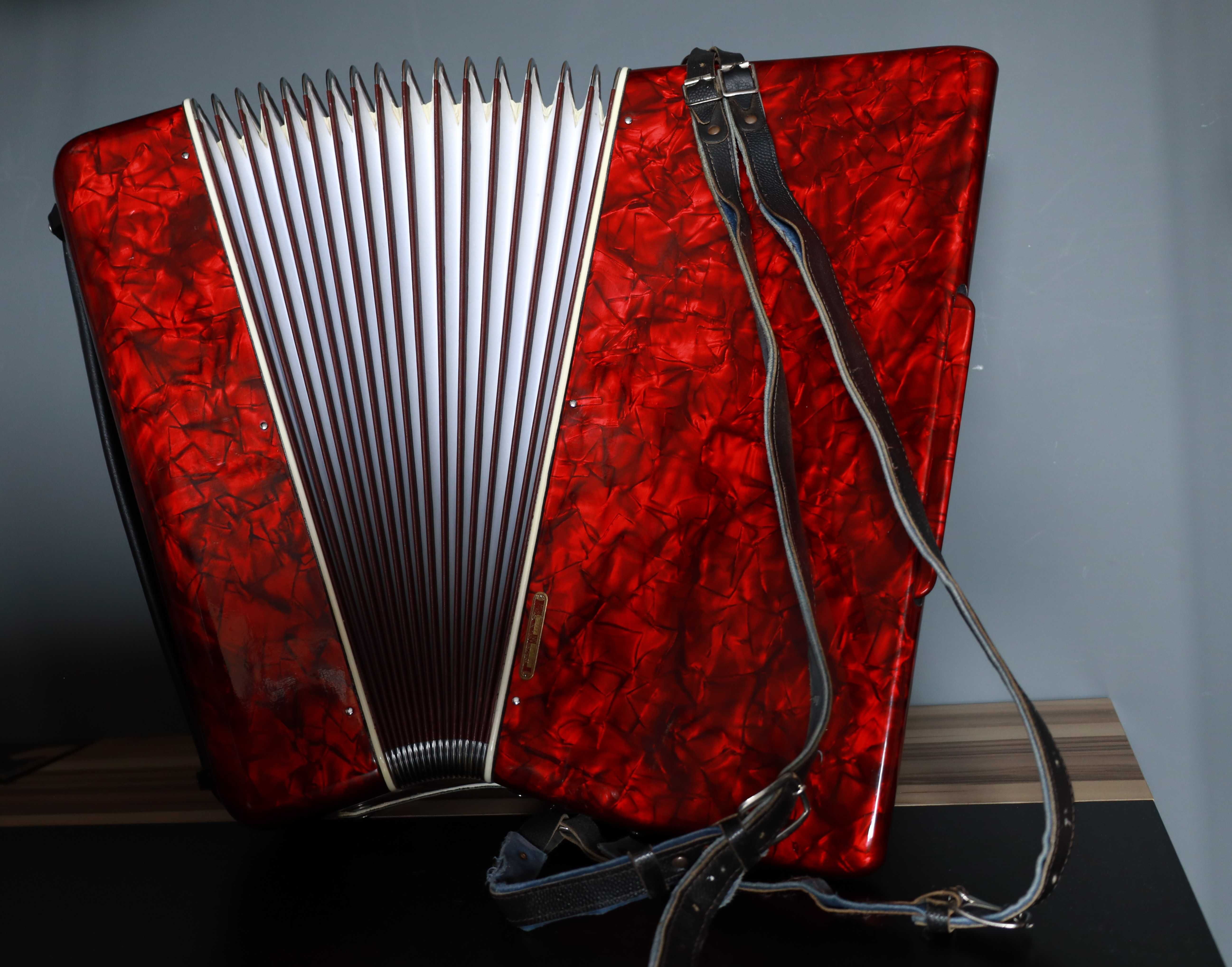 Akordeon Parrot 120b