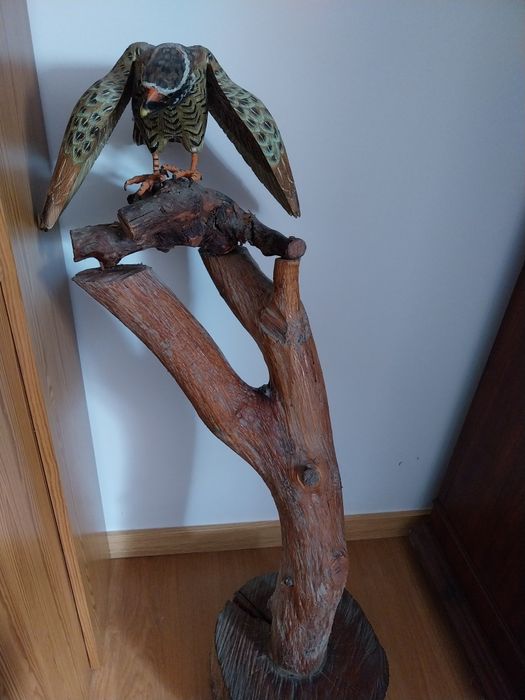 Tronco de madeira para decoração