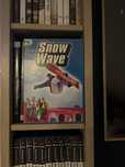 Gra PC Snow Wave