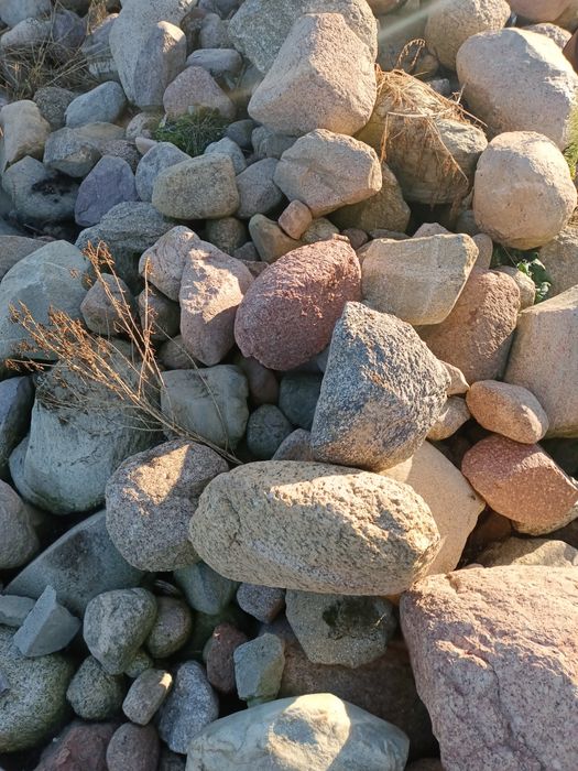 Kamień polny oddam za darmo