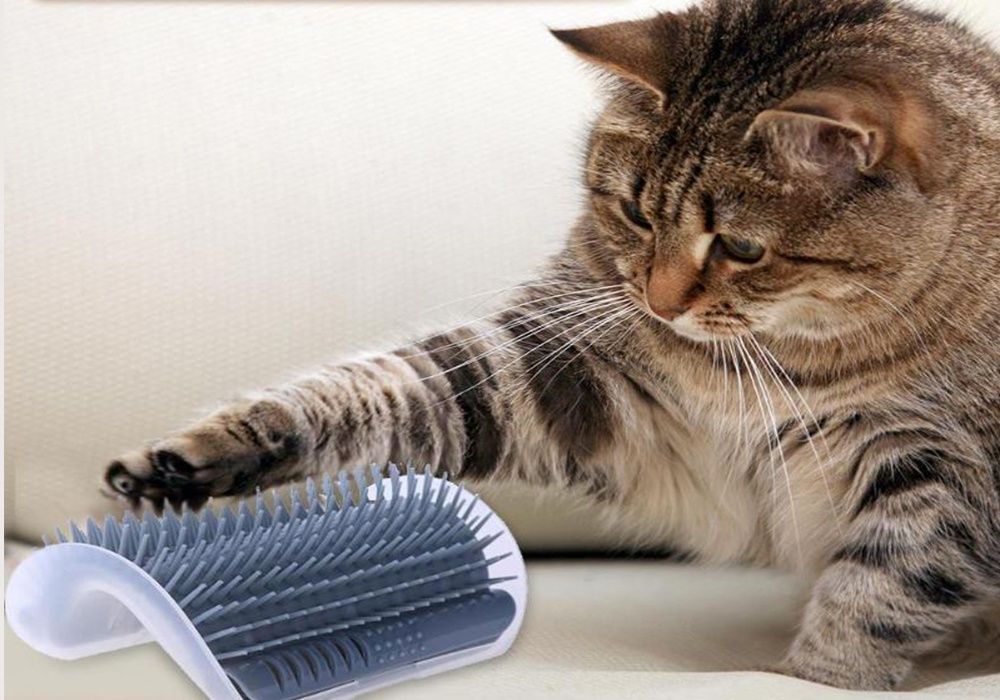 Pente de canto para remover o pelo de gato peludo