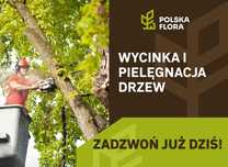 Wycinka drzew, pielęgnacja drzew, usługi mulczerem, sprzedaż drewna.