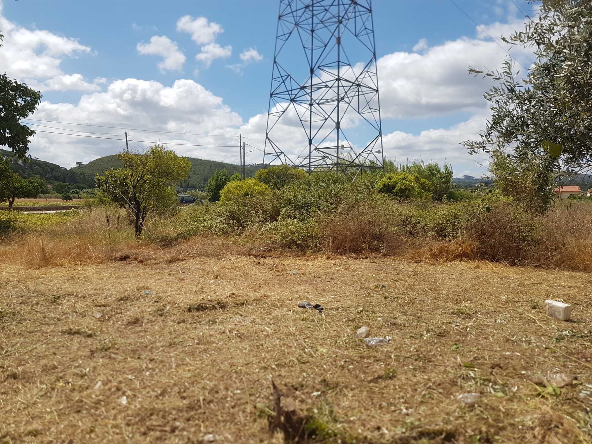 Limpamos terreno e matas à partir de 0,78€/m² - Coimbra e arredores