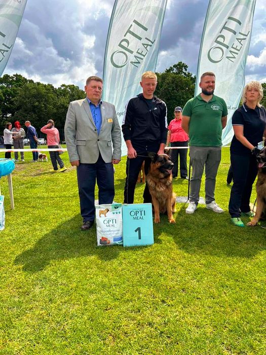Дівчинка німецької  вівчарки