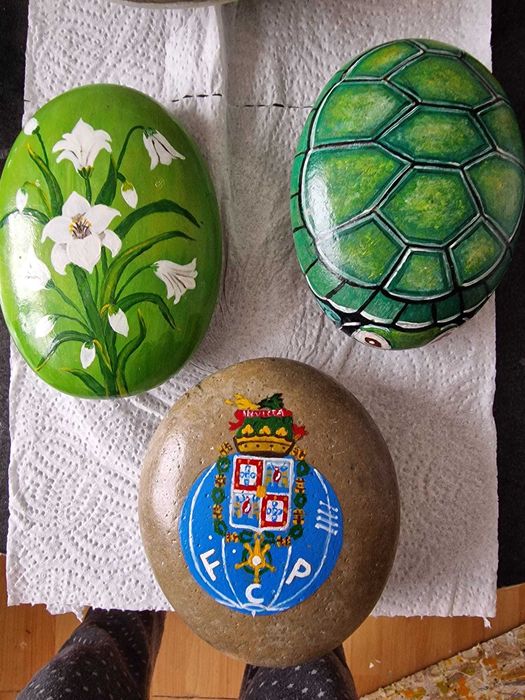 Pedras lindas pintadas a mão