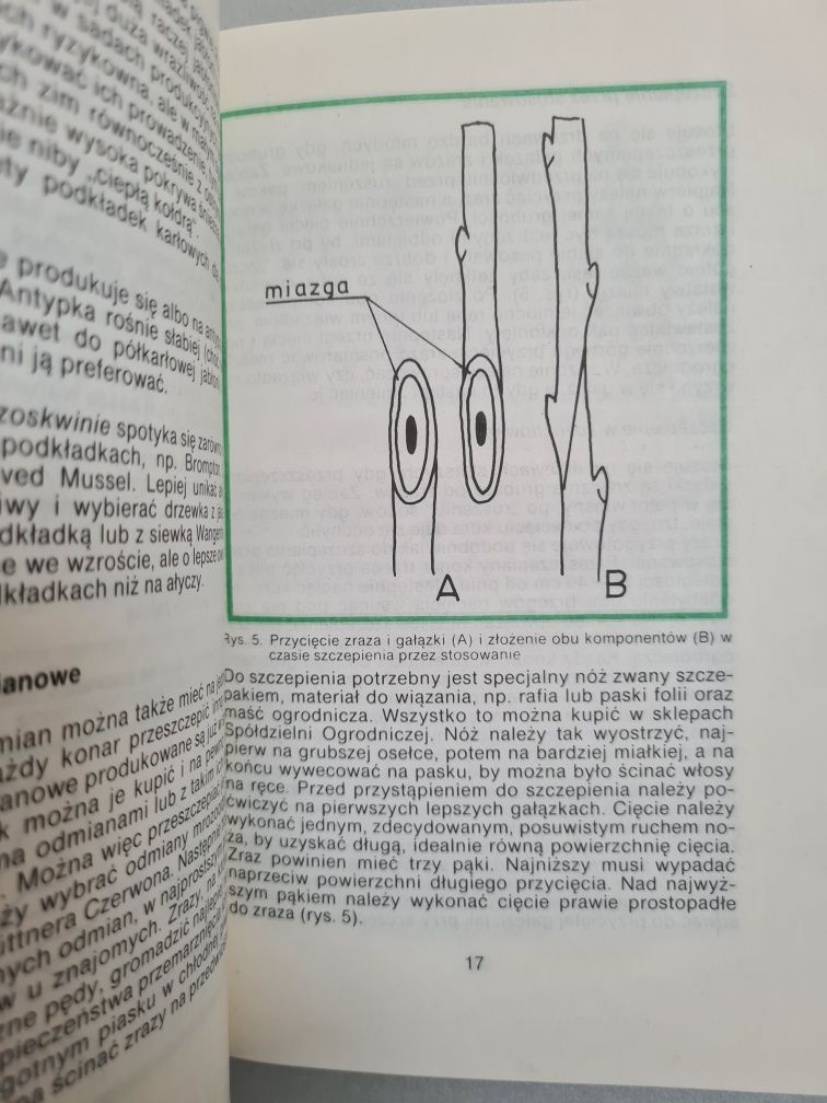 Mała działka duże możliwości - Zygmunt Soczek