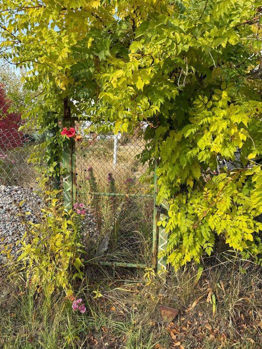 Продам дом в живописном районе - п. Рай-Еленовка в 10 км.от г.Харькова