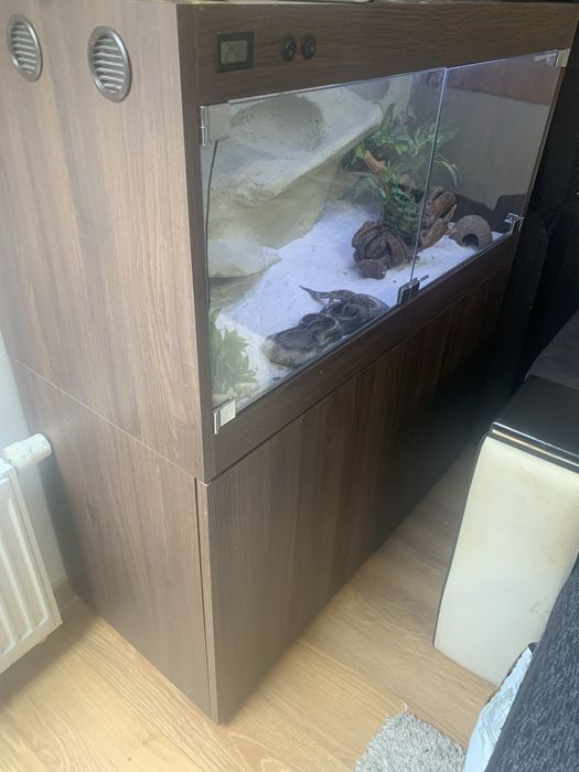 Terrarium z szafka i 3 gekony