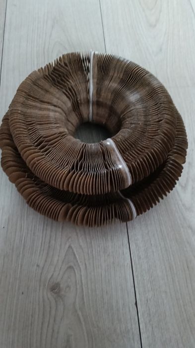 Interaktywny drapak dla kota 2 sztuki