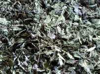 Продам сухі верхівки кропиви,корінь кульбаби,лопуха,цвіт глоду і інш