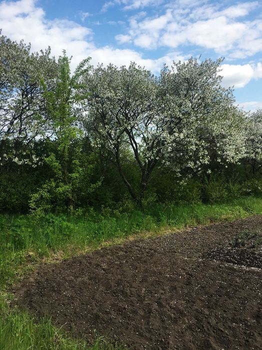 Продам цікаву земельну ділянку 17 соток біля Козова Тернопіль обл.