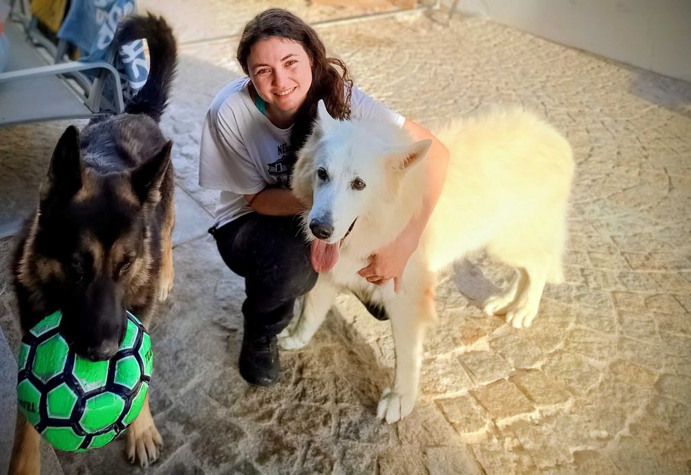 Pet Sitter e banho e tosquia em Viseu