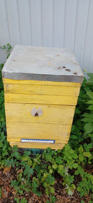 Продам вулики, рамки