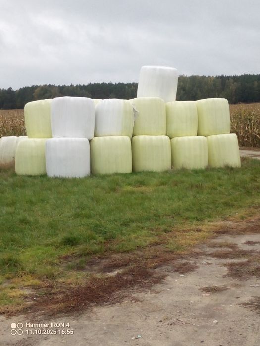 Sianokiszonka  pierwszy i drugi pokos