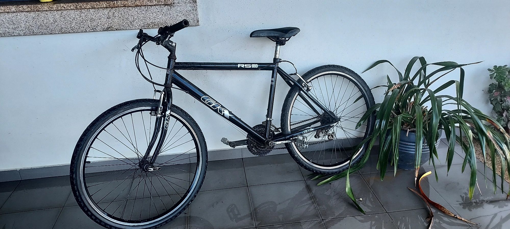 Bicicleta adulto