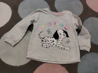 Bluza piesek 86 guziczki